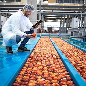 Food Production Process Machinery Sales
